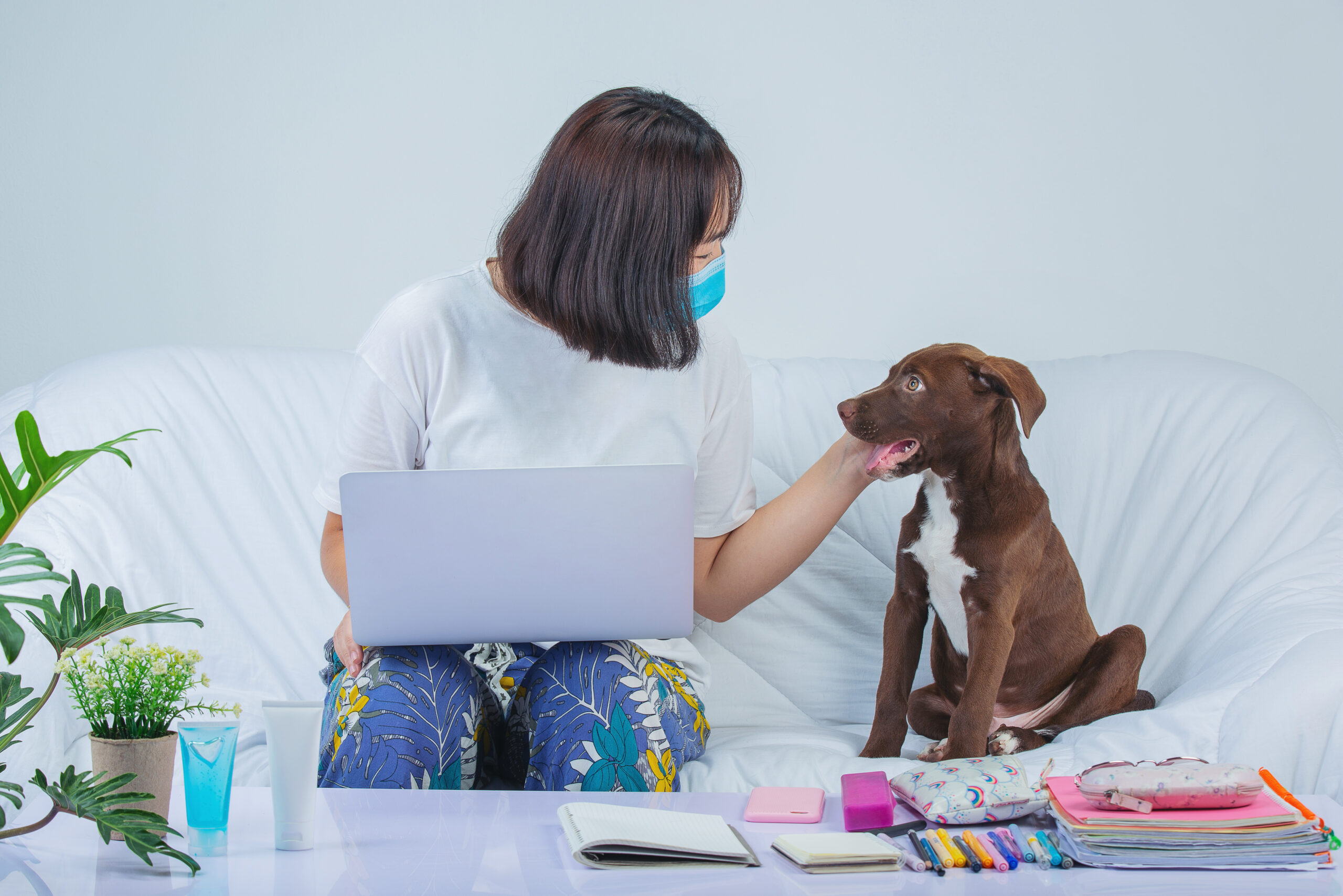 Veterinary Products Registration in the UAE - Hawkridge Corp